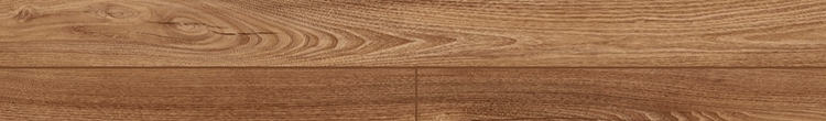 R4119 OPAL