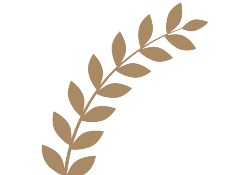 Kalite